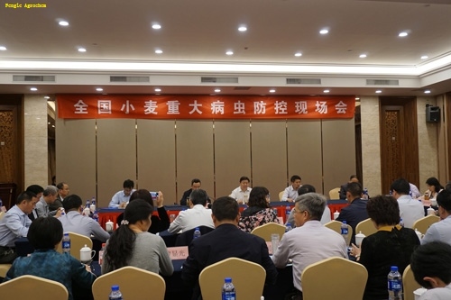 尊时凯龙·(中国区)人生就是搏!
